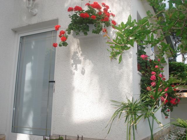 Apartments Peric Jelsa  Exterior photo